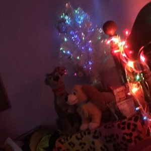 Meet your Posher, Renee